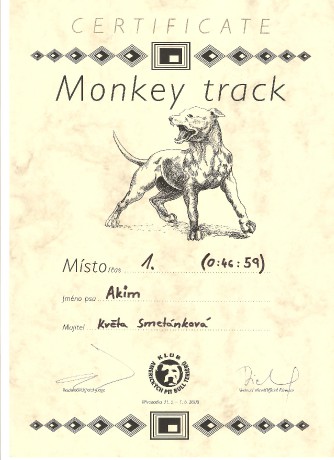 Monkey track 2008 1. místo