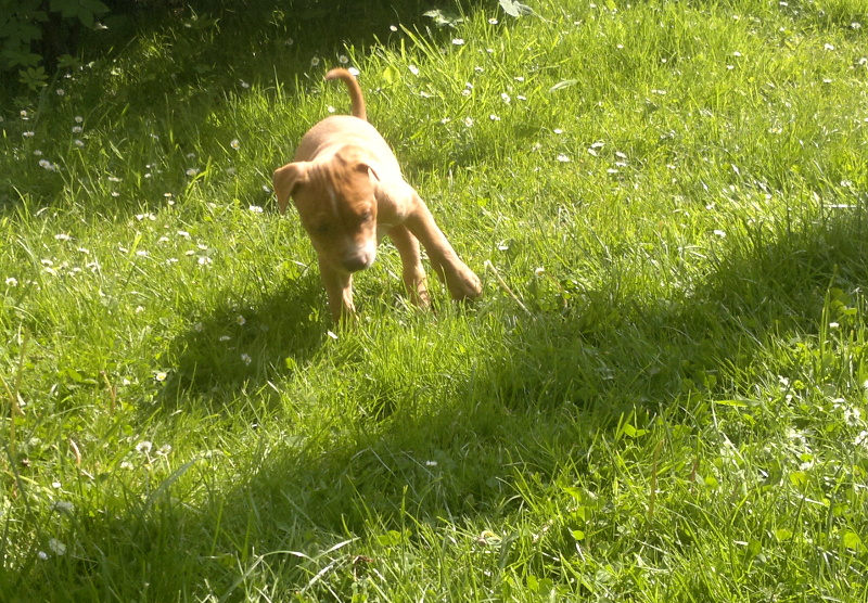 2012-05-15-367