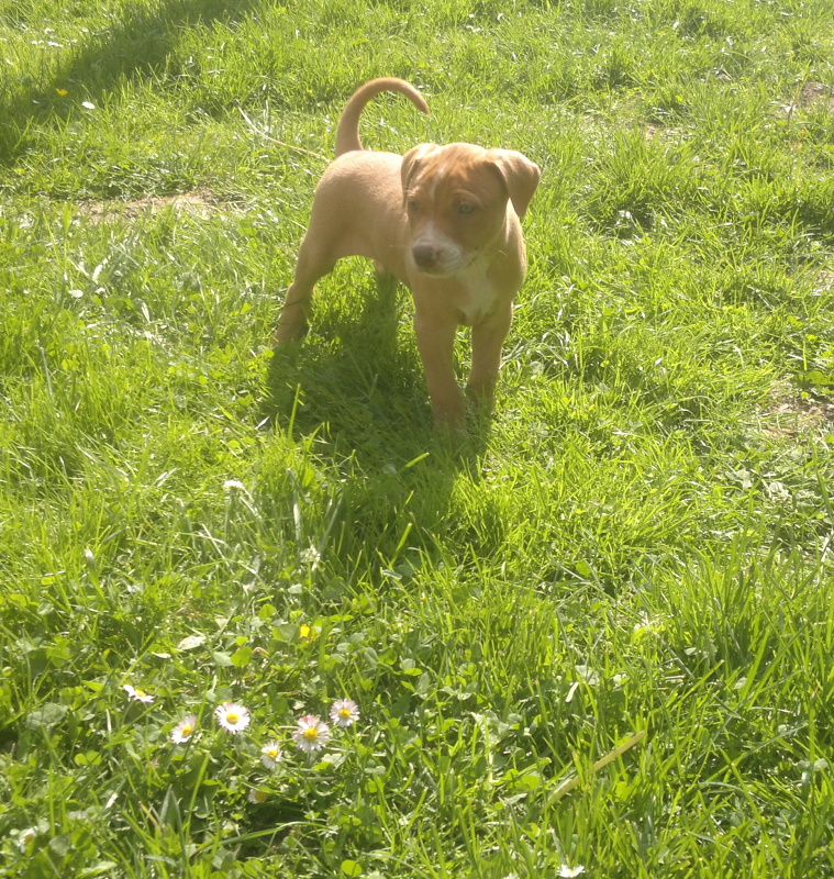 2012-05-15-369