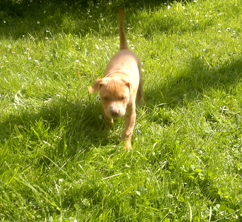 2012-05-15-378