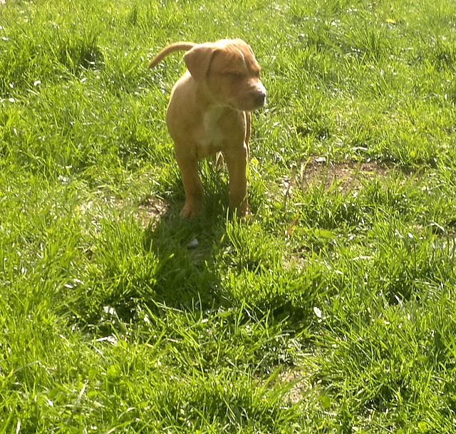 2012-05-15-382