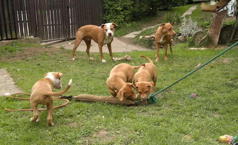 2012-06-06-599 – kopie