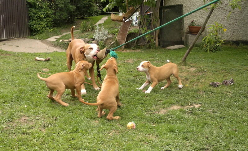 2012-06-06-605 – kopie