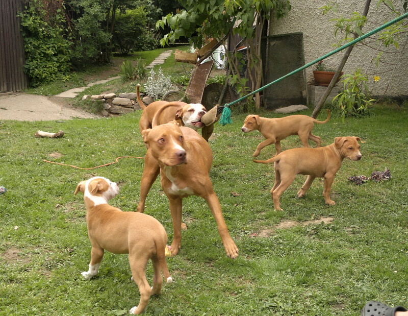 2012-06-06-607 – kopie
