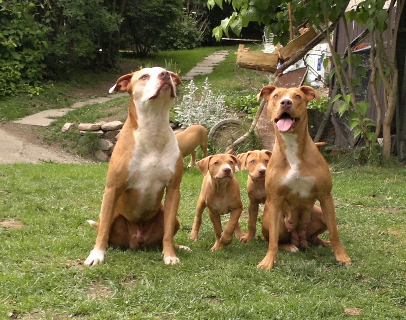 2012-06-06-622 – kopie
