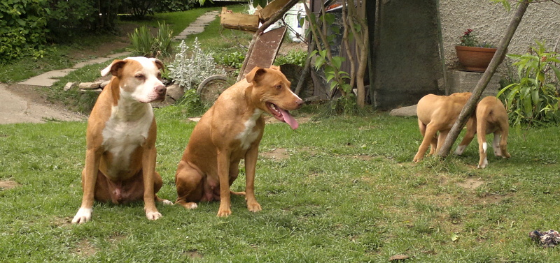 2012-06-06-628 – kopie