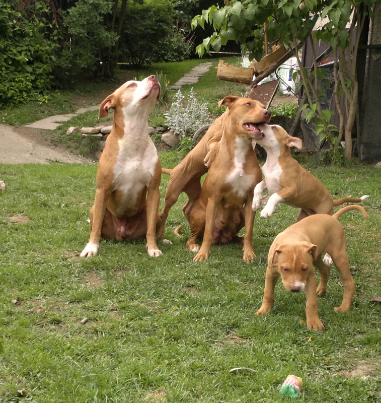 2012-06-06-630 – kopie