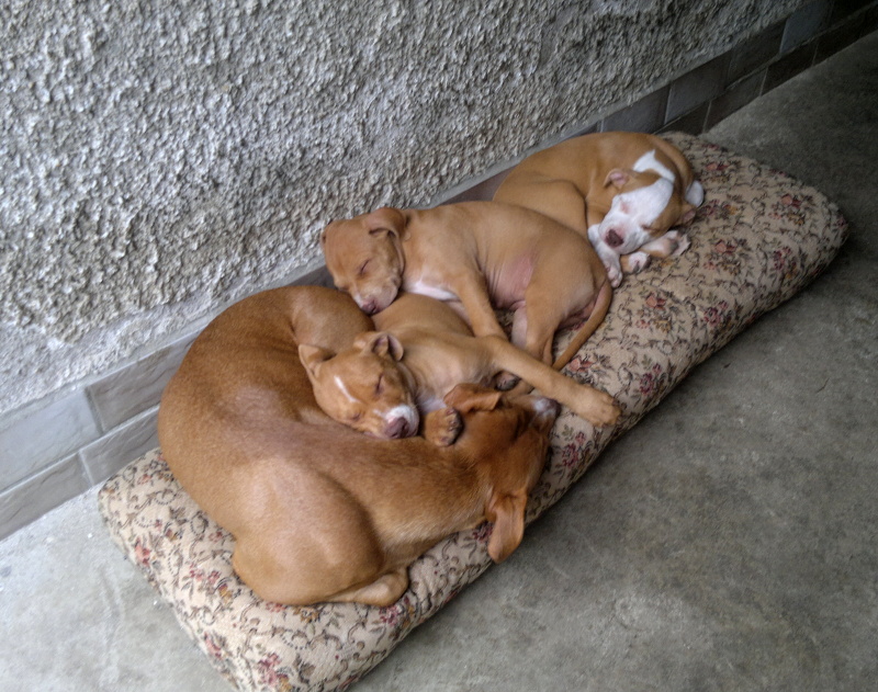 2012-06-06-633 – kopie